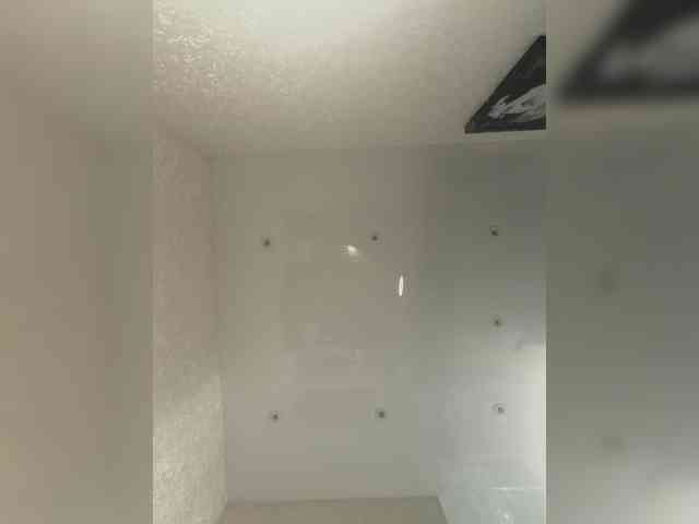 Alisaay webcam