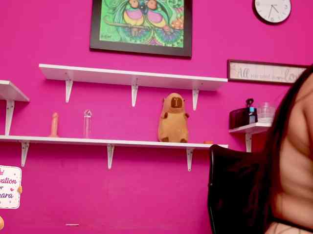 zamaraxx webcam
