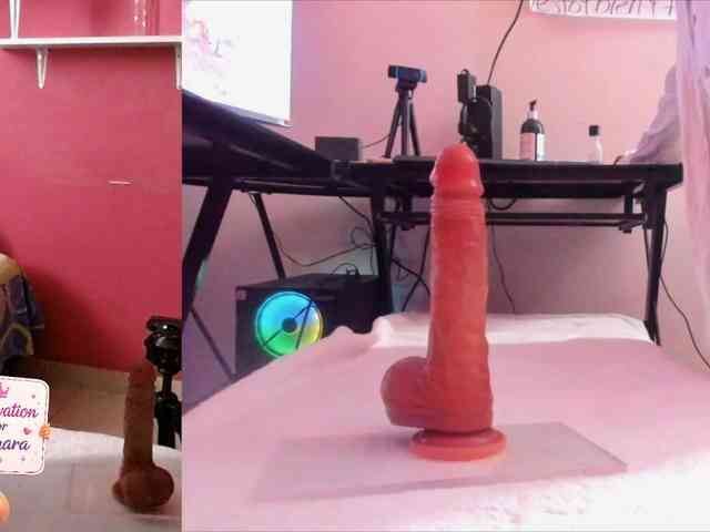 zamaraxx webcam