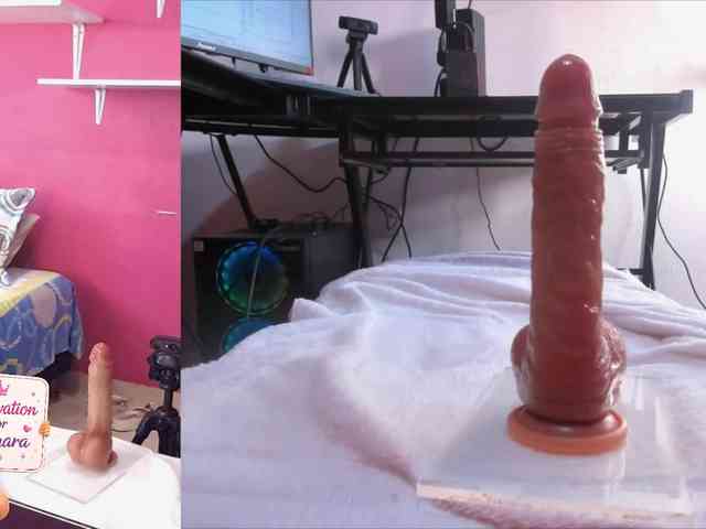 zamaraxx webcam