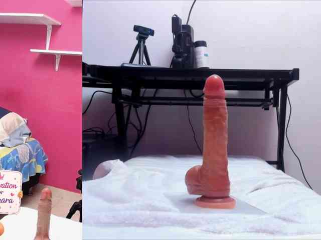 zamaraxx webcam