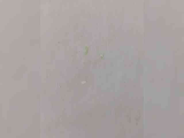 Barbarax webcam