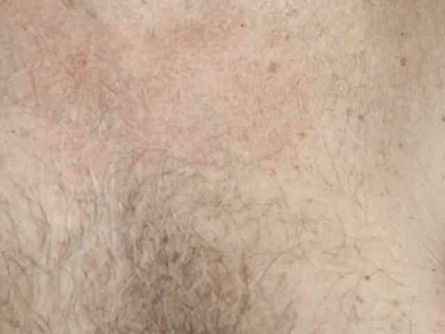 Barbarax webcam