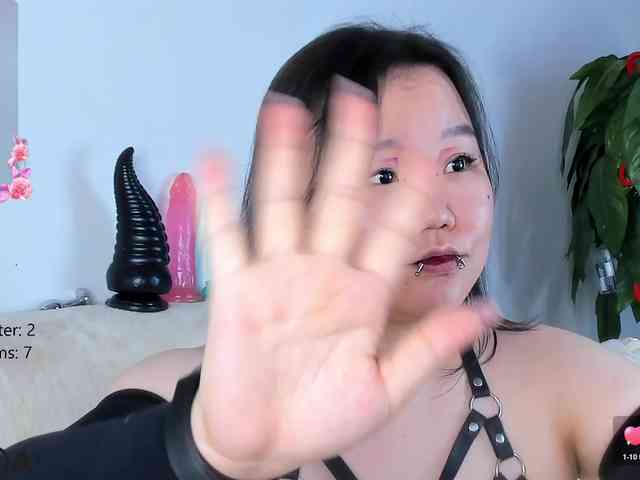 KimiMon webcam