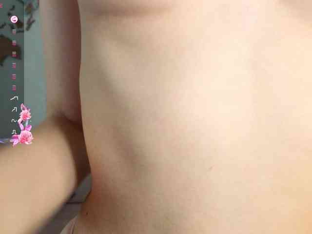 fendilov webcam