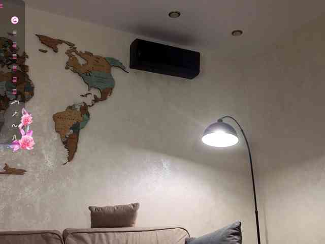 fendilov webcam
