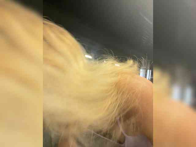 Lexy-Luna webcam