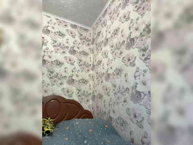 LindaLap webcam