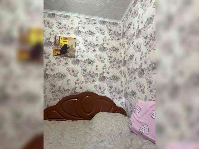 LindaLap webcam