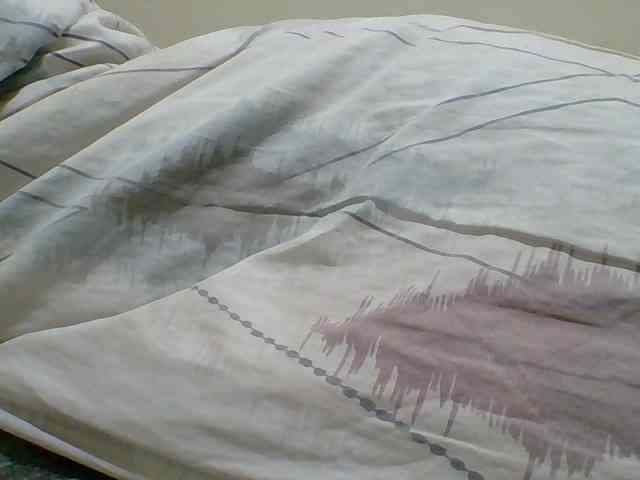 Monlight- webcam