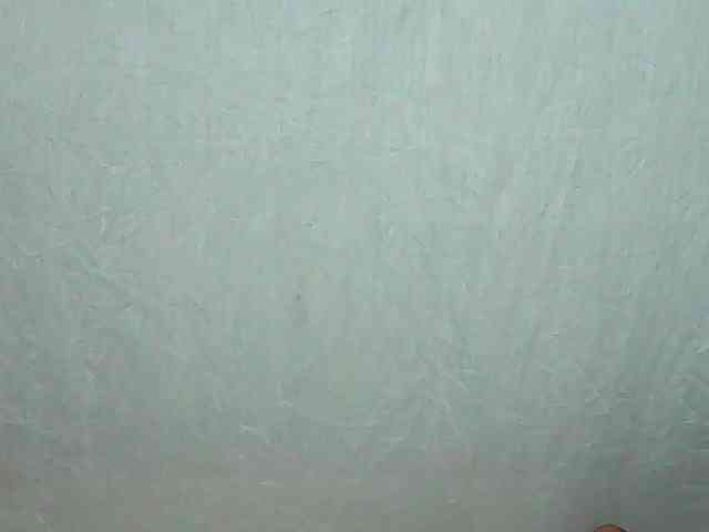 LandiQueen12 webcam