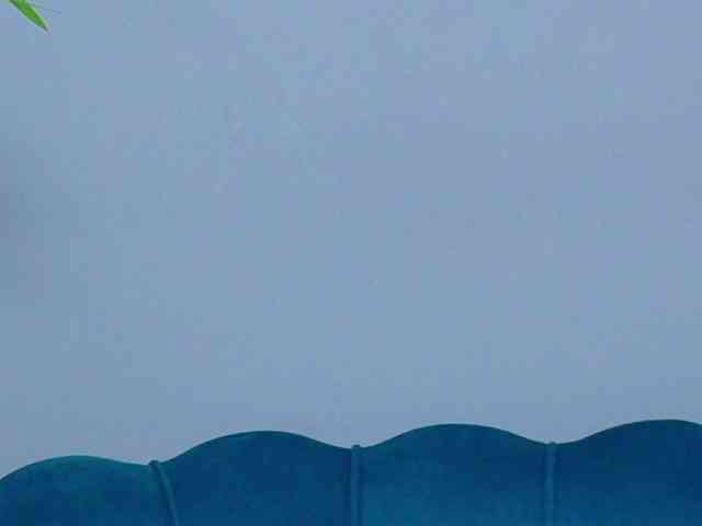LunaLuxe webcam