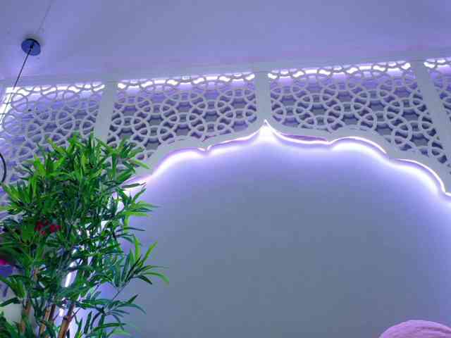 LunaLuxe webcam