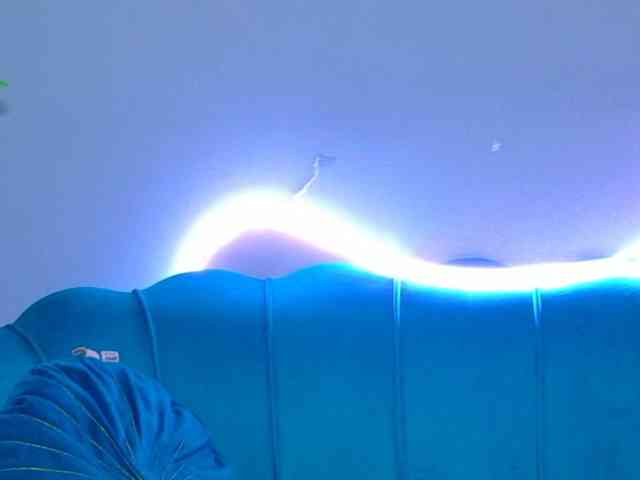 LunaLuxe