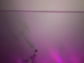 LizaKing Porn Show