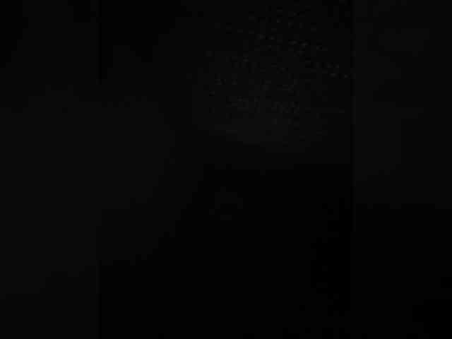 LizaKing webcam