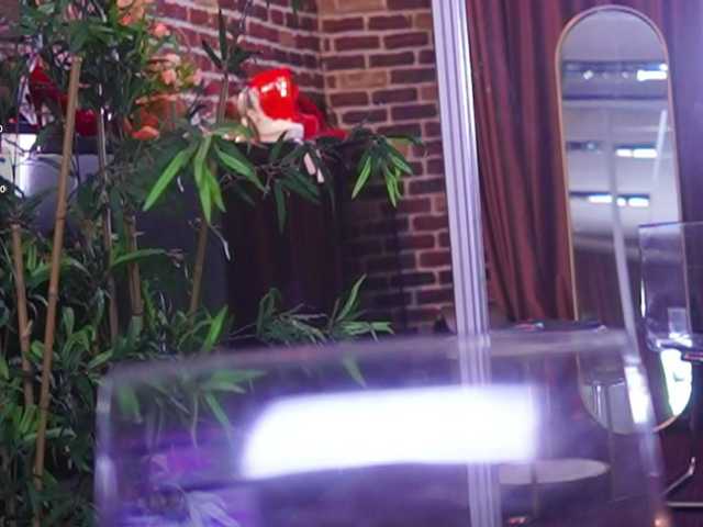 NataliaDoll live cam on BongaCams
