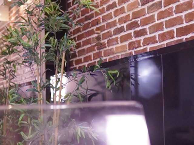 NataliaDoll live cam on BongaCams