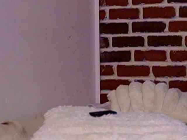 NataliaDoll webcam