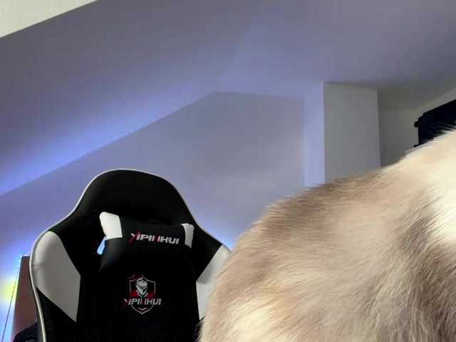FlippyPippy live cam on BongaCams