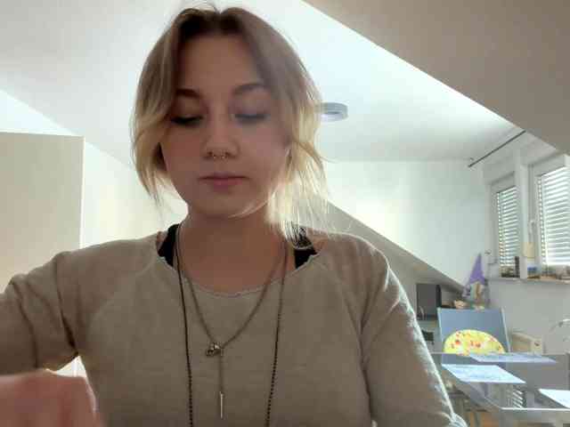 FlippyPippy webcam