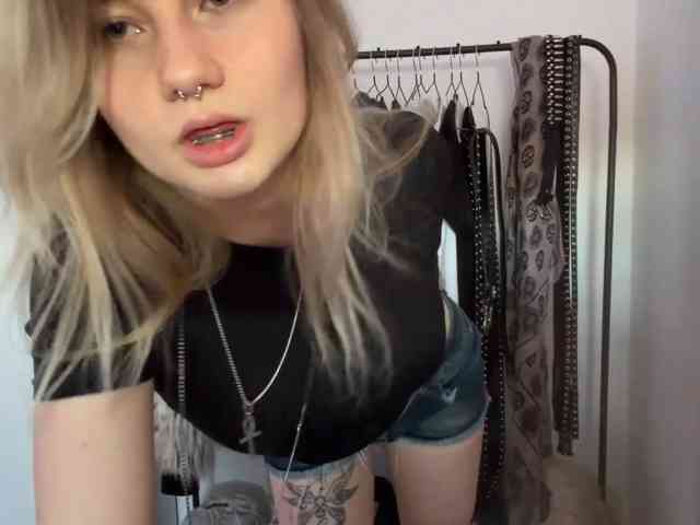 FlippyPippy webcam