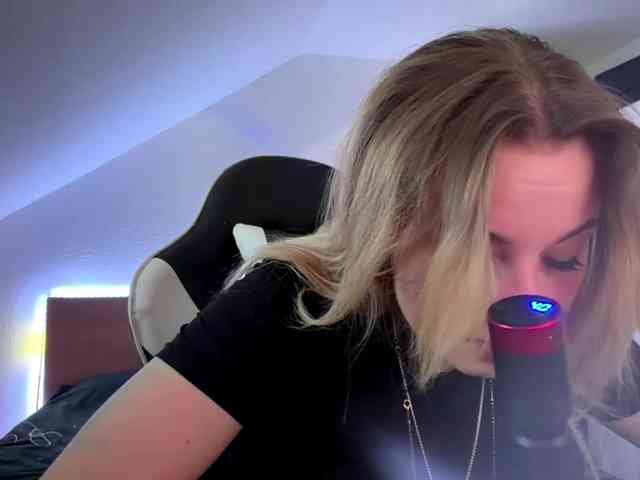 FlippyPippy webcam