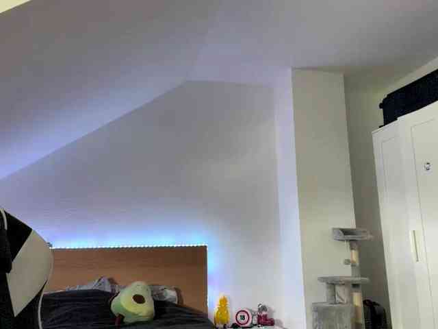FlippyPippy webcam