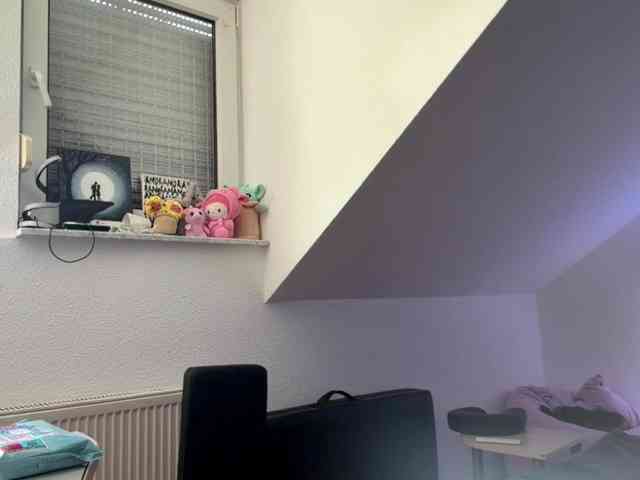 FlippyPippy webcam