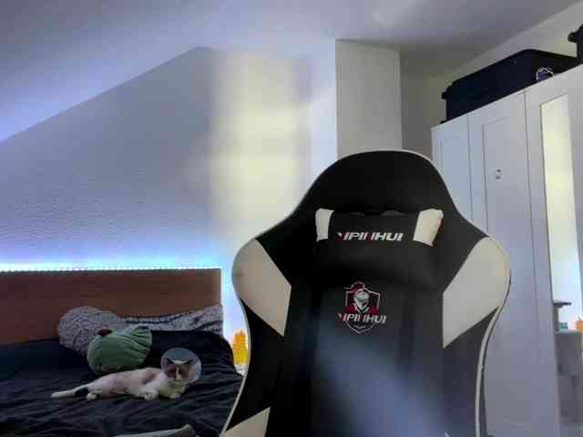 FlippyPippy webcam