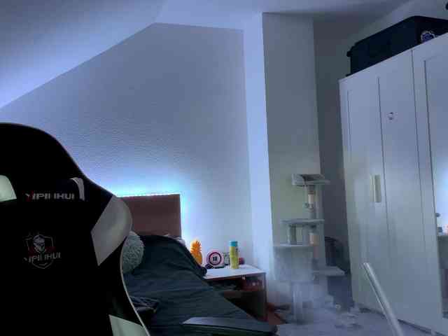 FlippyPippy webcam
