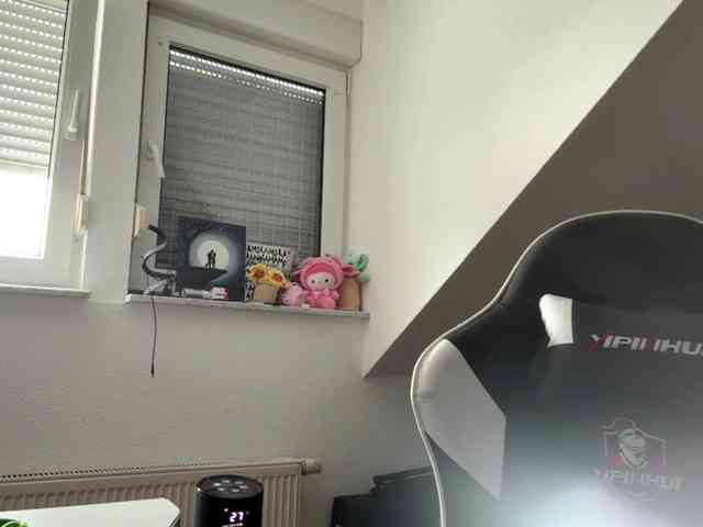 FlippyPippy webcam