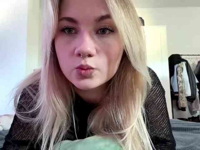 FlippyPippy webcam