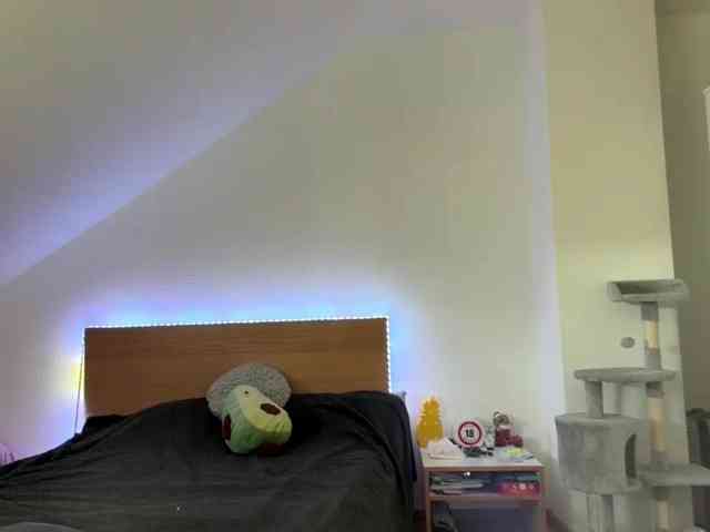 FlippyPippy webcam