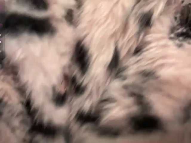 JorniChou