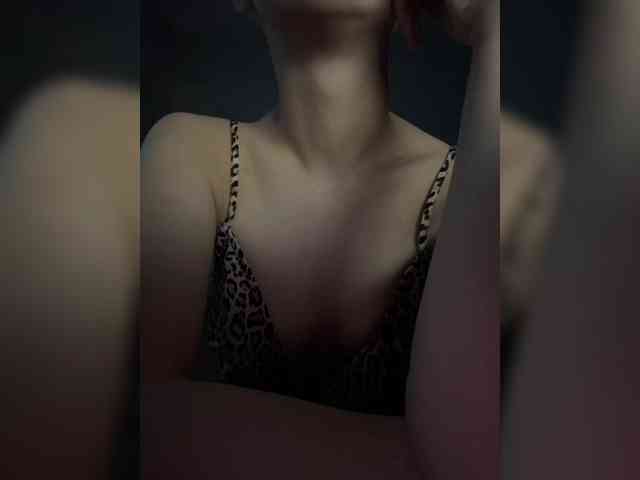 evakis webcam