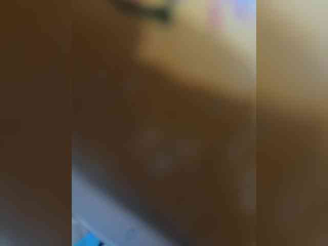 evakis webcam