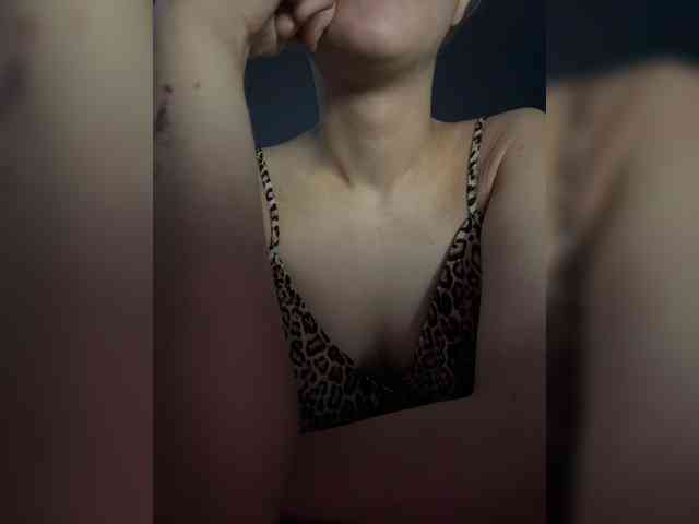 evakis webcam