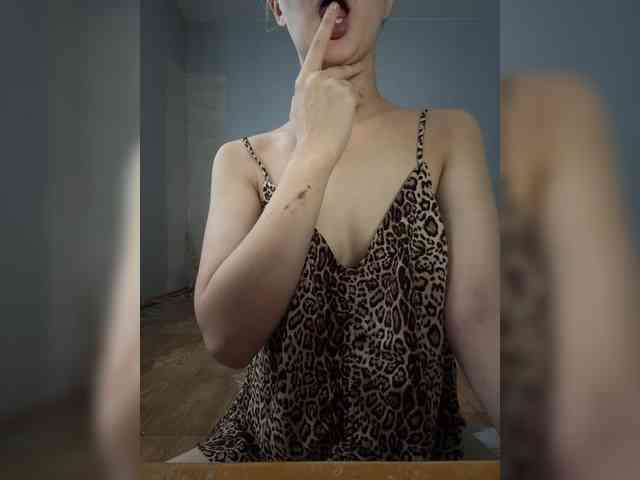 evakis webcam