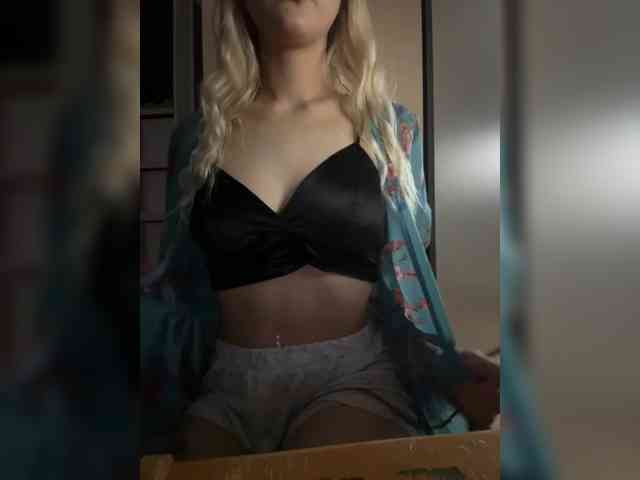 evakis webcam