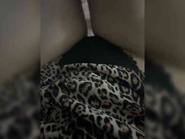 evakis webcam