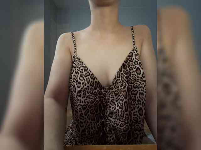 evakis webcam