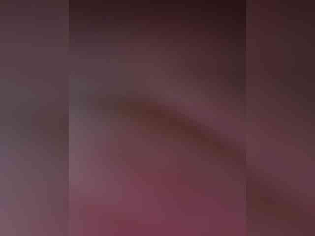 evakis webcam