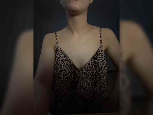 evakis webcam