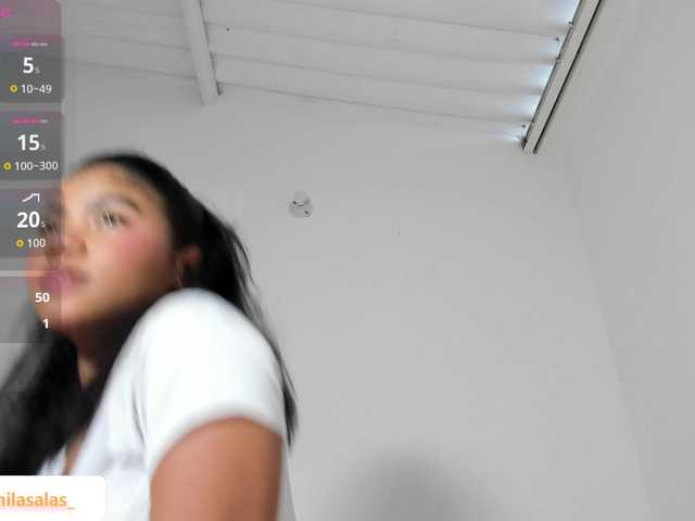 Camilasalas