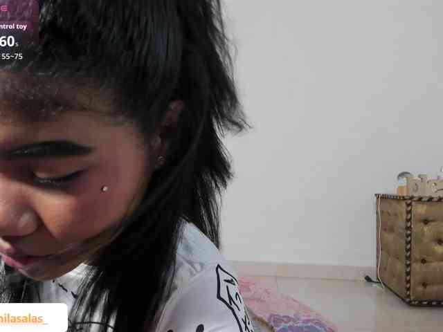 Camilasalas webcam