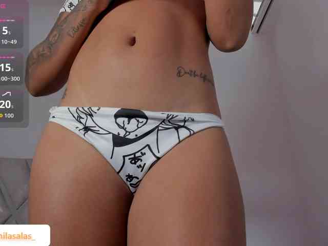Camilasalas webcam