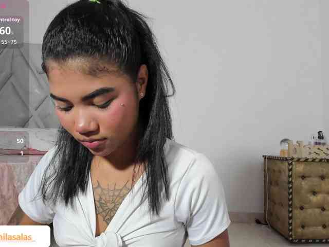 Camilasalas webcam