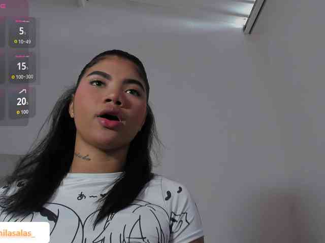 Camilasalas webcam