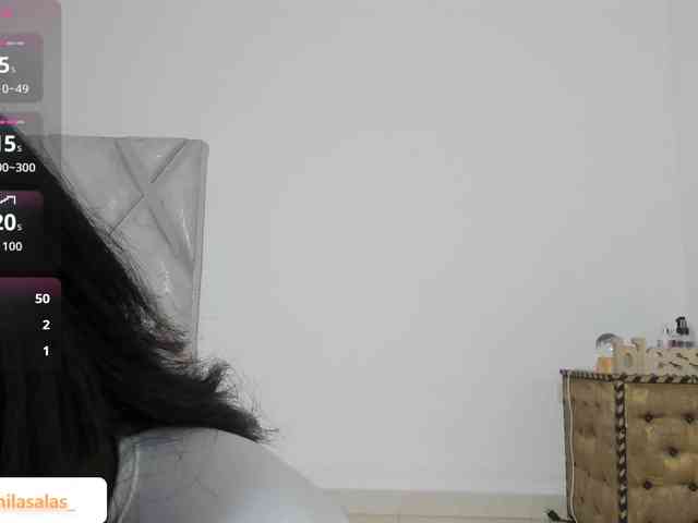Camilasalas webcam